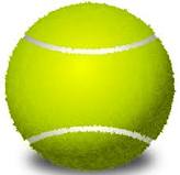 Fruitport boys’ tennis team falls short against Fremont, 7-1