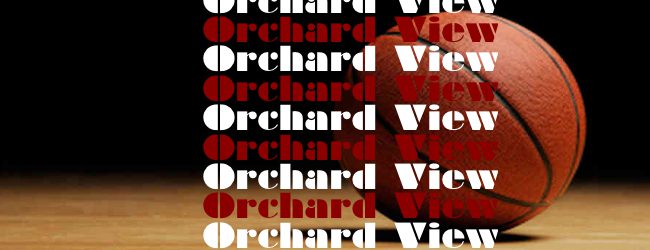 Orchard View Darius Williams puts up second triple-double in two games, lead Cardinals past Big Rapids