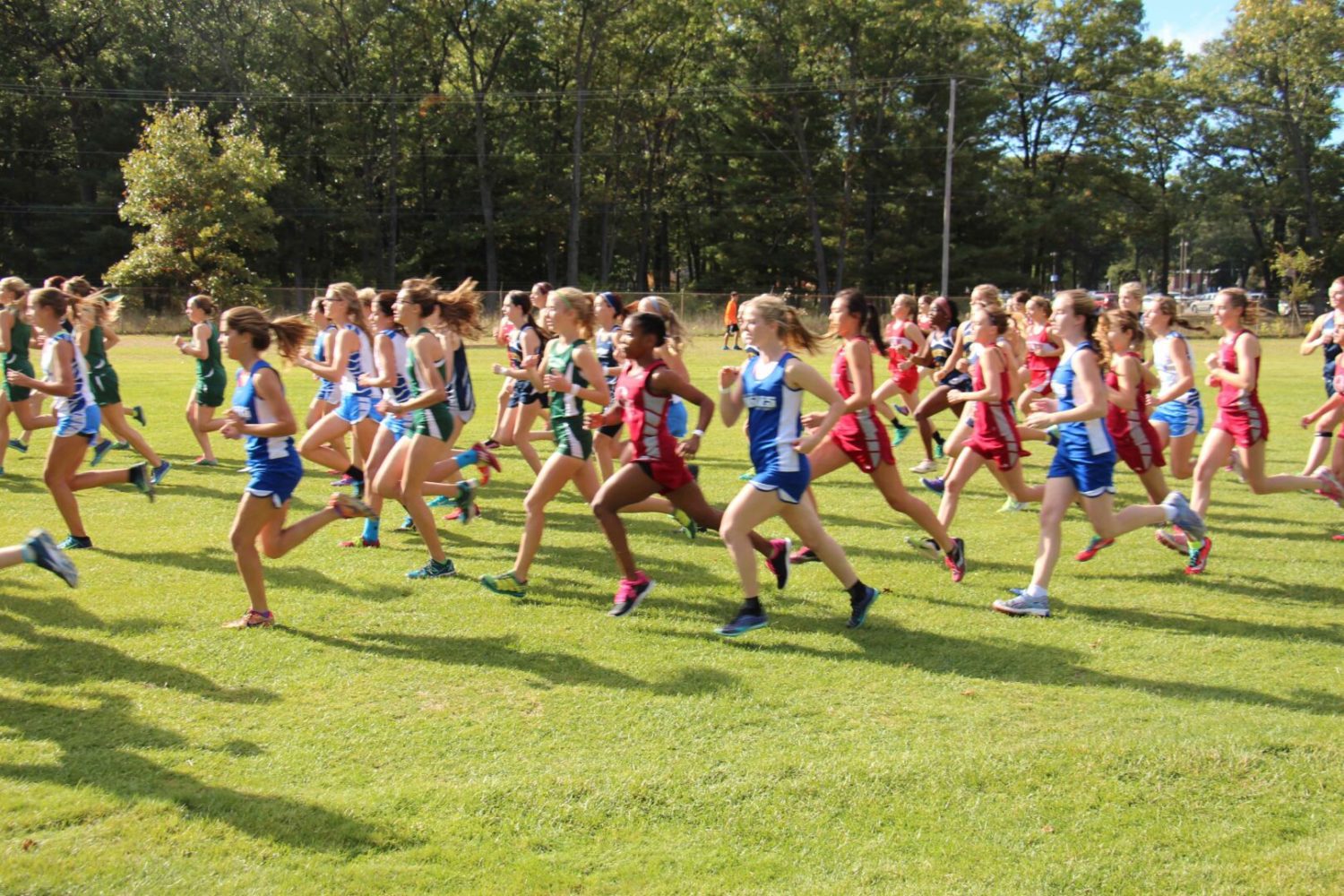 [VIDEO] Highlights from the GMAA City Cross Country Championships