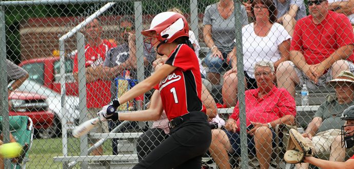 Spring Lake softball team gets past Allendale, wins Division 2 district title