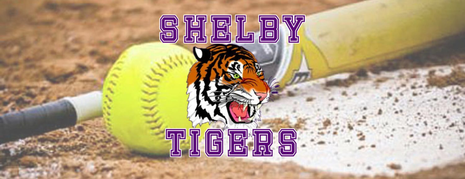 Shelby punches out 12 hits in 9-8 win over North Muskegon in softball action