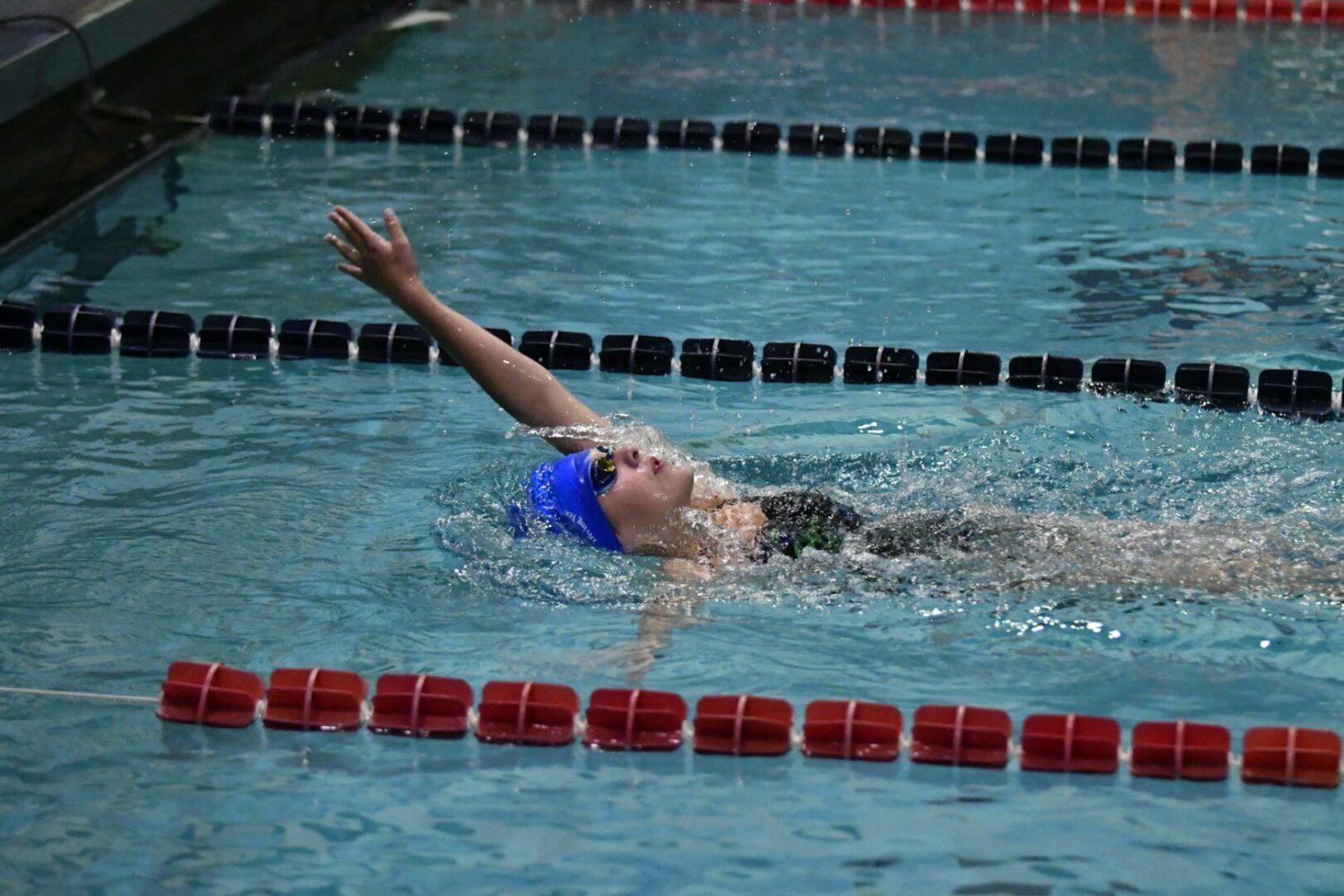 Photos from the Mona Shores co-op swim meet | Local Sports Journal