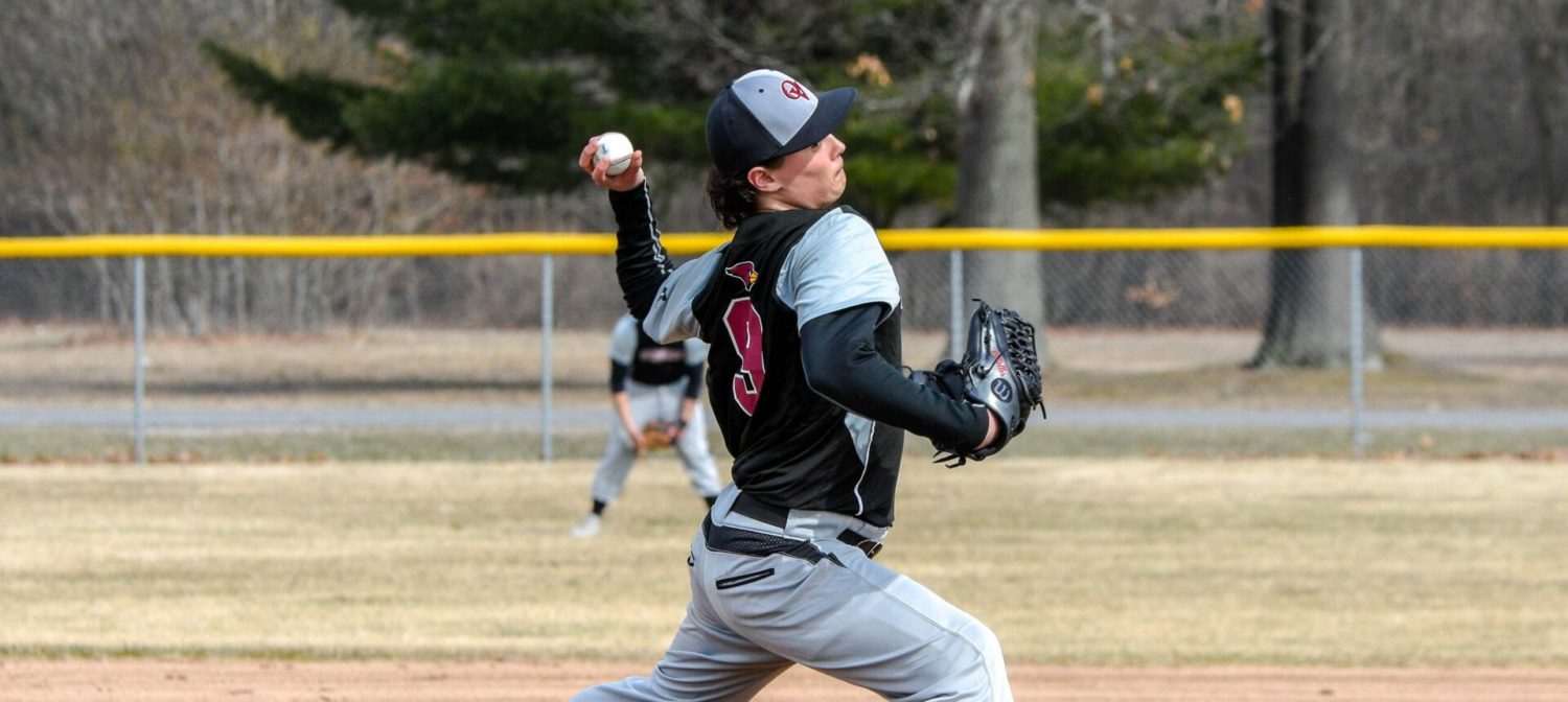 Orchard View baseball team splits twin bill with Whitehall