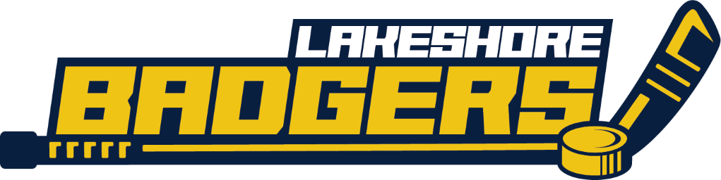 Lakeshore Badgers fall to Davison in weekend hockey action