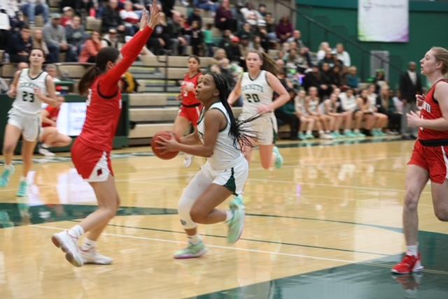 Reeths-Puffer girls capture OK-Green title with win over Holland