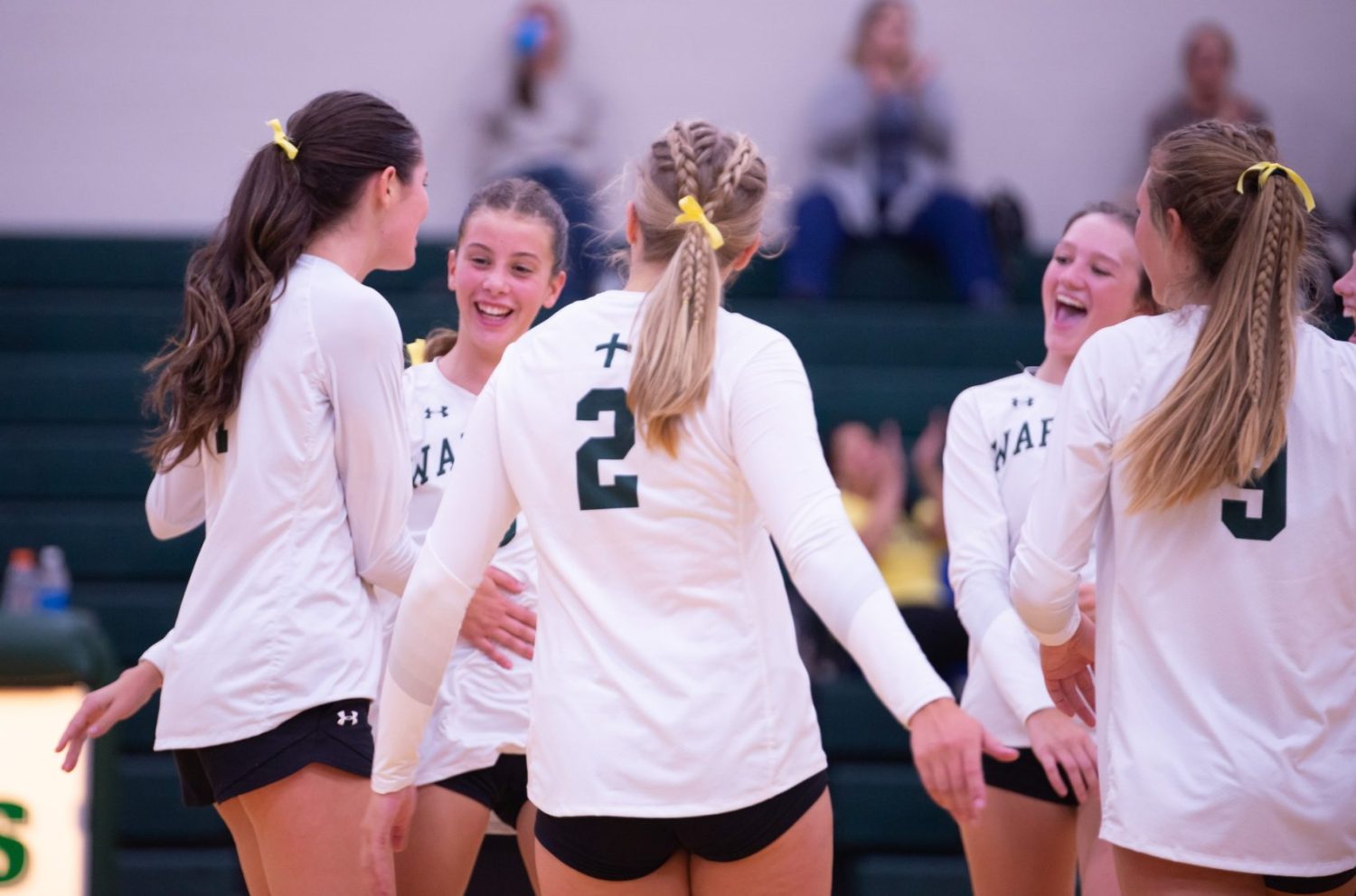 Western Michigan Christian cruises by Potters House in league volleyball match