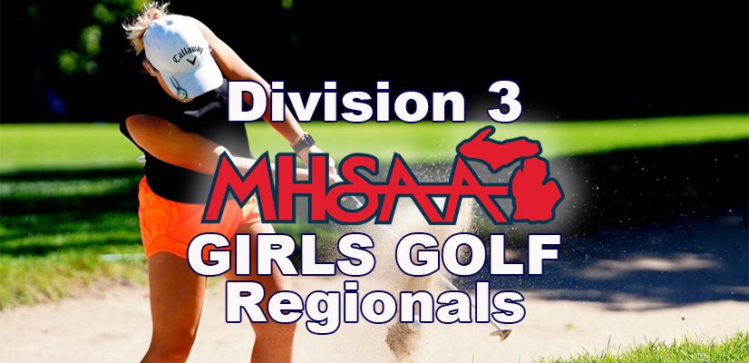 Ludington captures Division 3 regional golf title; McKinley leads the way